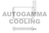 AUTOGAMMA 104215 Heat Exchanger, interior heating